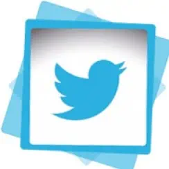 Twitter epaviste